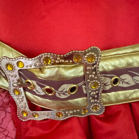 Disney Store Elena of Avalor Dress up Halloween Costume Size 4 GUC - Picture 4 of 5